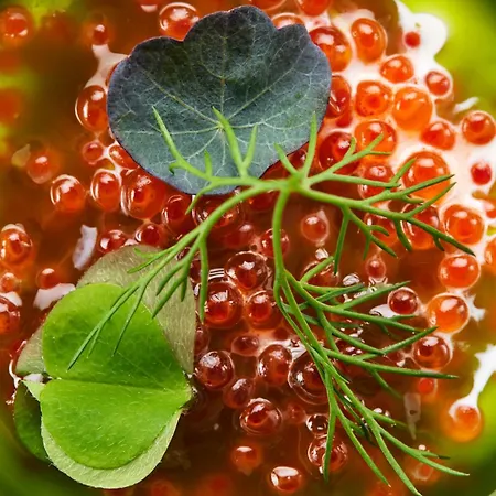 Life Balance 帕兰加